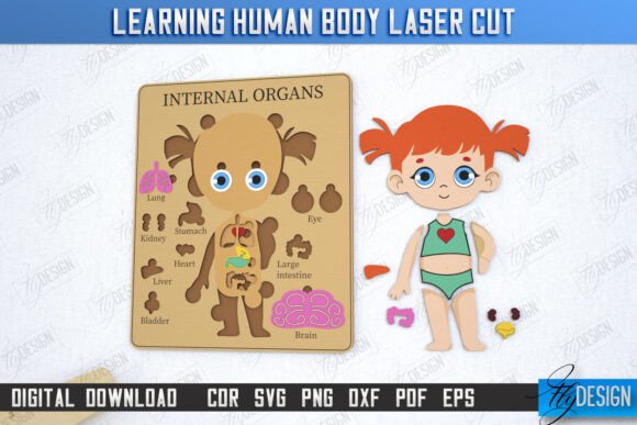 Learning Human Body Laser Cut Girl CNC: Laser Cutting, Other Toys Amp